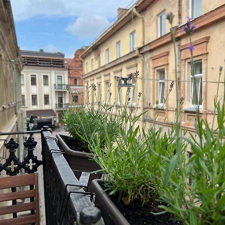 Old Town Apartment كاوناس المظهر الخارجي الصورة