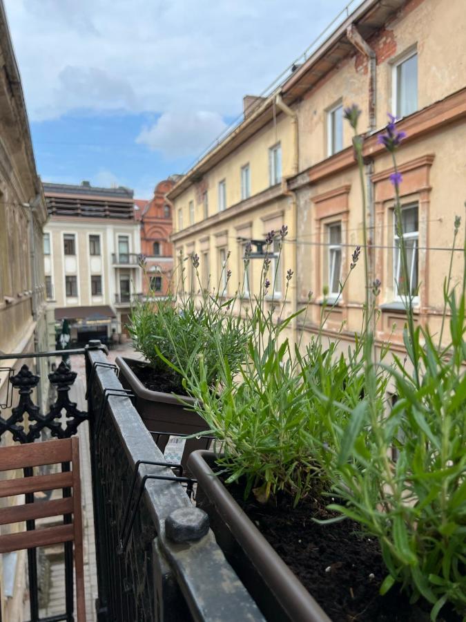 Old Town Apartment كاوناس المظهر الخارجي الصورة